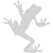 screaming_frog_seo_spider
